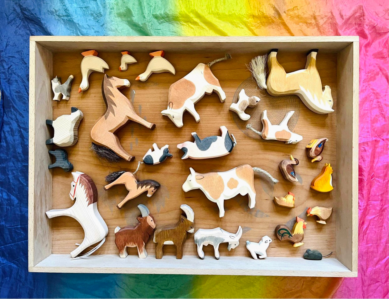 Farm Animals